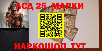 индика Гусев
