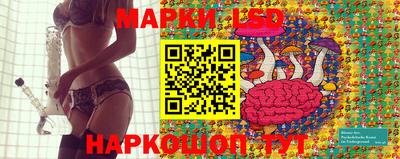 индика Гусев