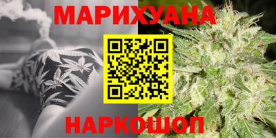 индика Гусев