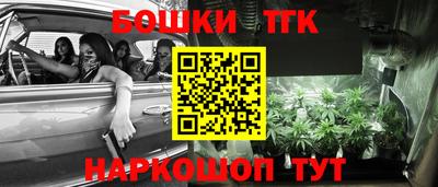 индика Гусев