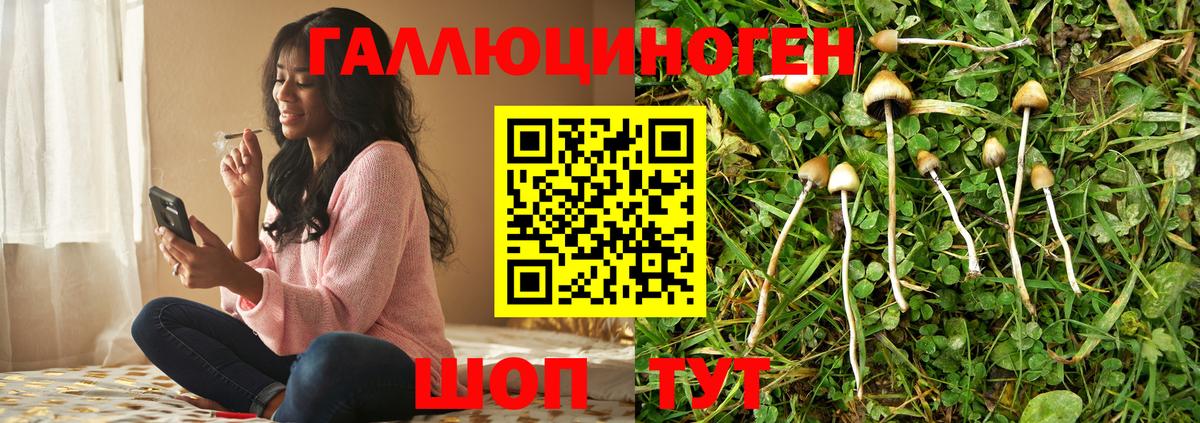 Галлюциногенные грибы прущие грибы Луга